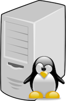 Sys Admin